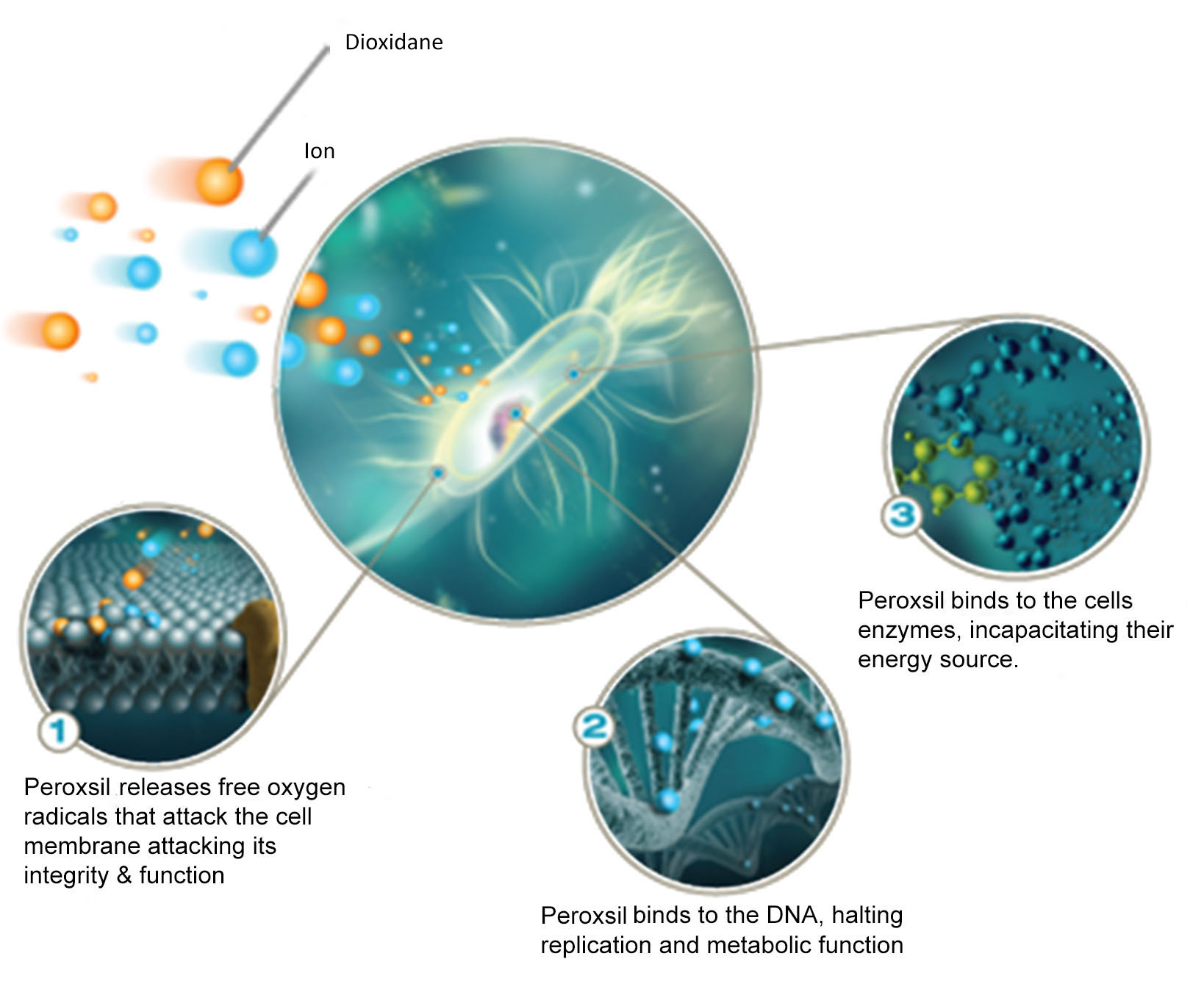 how peroxsil works